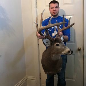 Meet your Posher, Ronald